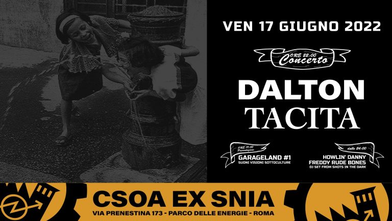 Dalton | Tacita
