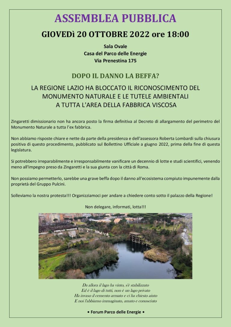 ASSEMBLEA PUBBLICA