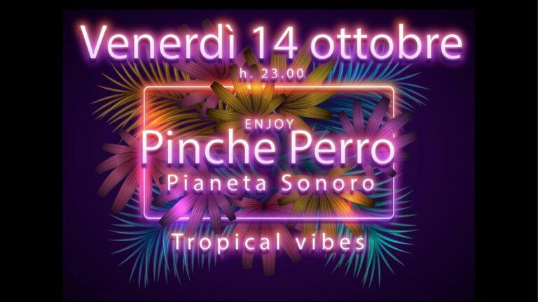 Dj set Domingo Malverde El Pinche Perro 100% Vinyl