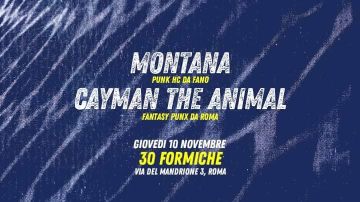 Montana + Cayman The Animal live