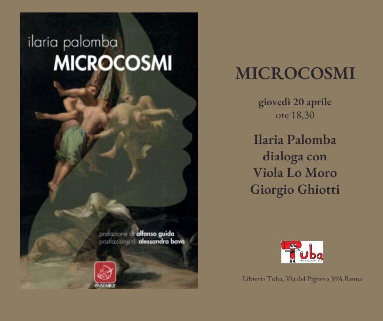 presentazione di “Microcosmi” di Ilaria Palomba