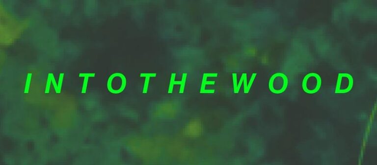 INTOTHEWOOD // Jacopo Buda [LiveSet] // Sottofondi [MagmaCrew]]
