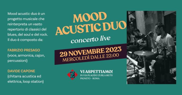 Mood acoustic duo – concerto live