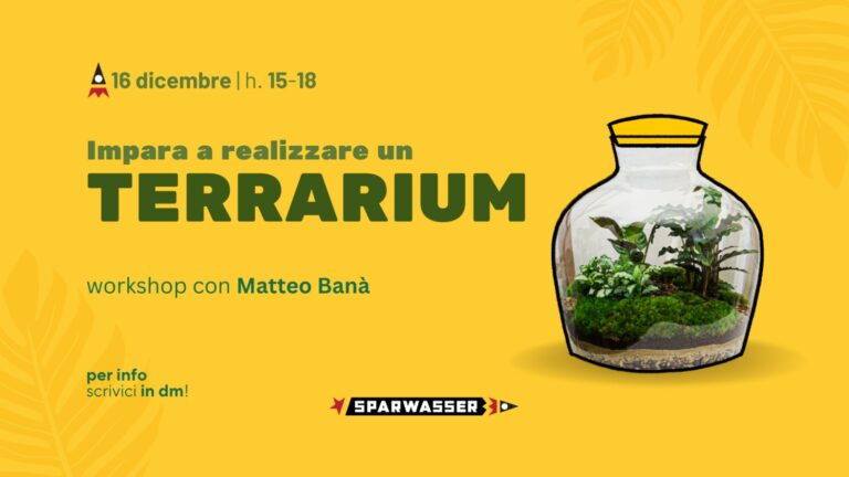 Impara a realizzare un TERRARIUM!