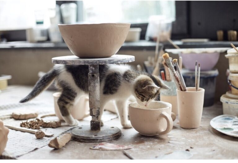 Decora il tuo gatto di ceramica