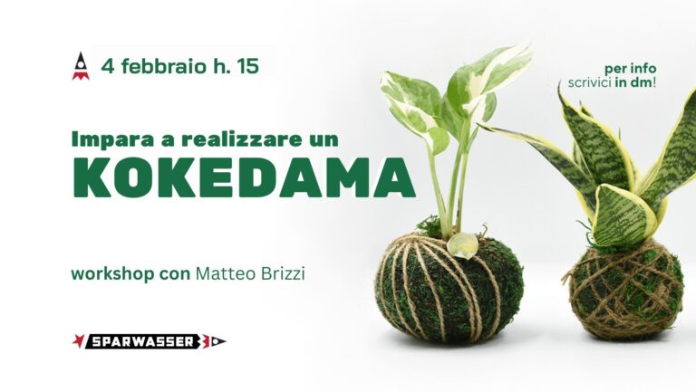 Impara a realizzare un KOKEDAMA