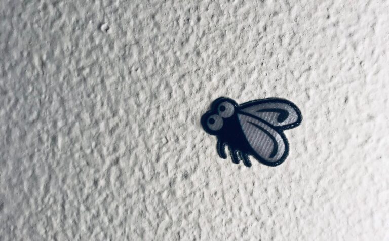 VFFNCLJZZ feat. JABBABOY (solo sax) + Cristiano De Fabritiis (solo batteria) + Danilo Aleandri dj set