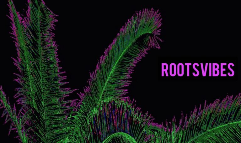 ROOSTVIBES – Lady Maroots, Enrico Kybbe & Bob Corsi