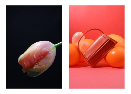 In vetrina, Nathan Lewis Still Life Photography