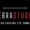 ZebraStudio