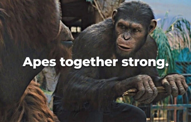 Apes Together Strong // Aperitivo Sociale per Filmmaker e Videomaker