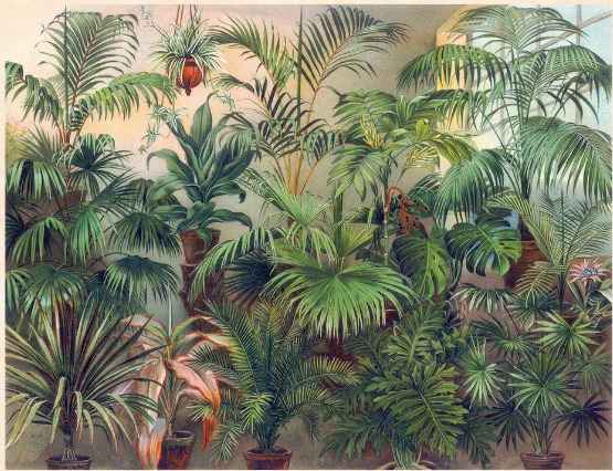 Heart Of Snake & Mira (Maple Death records) Live