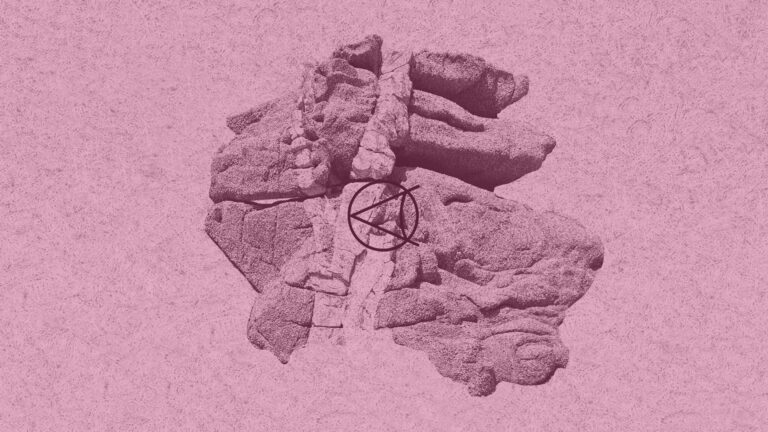 SINCE w/ Le Frit live