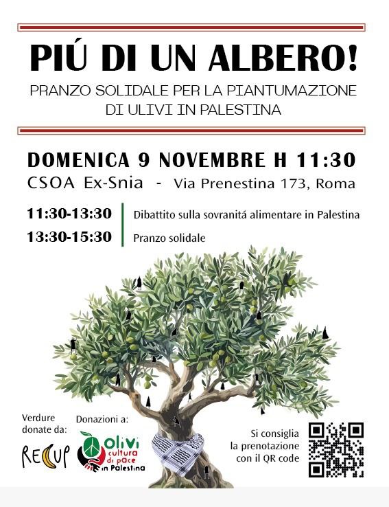 PIU’ DI UN ALBERO