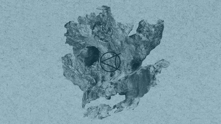 SINCE w/ Orree & Equohm