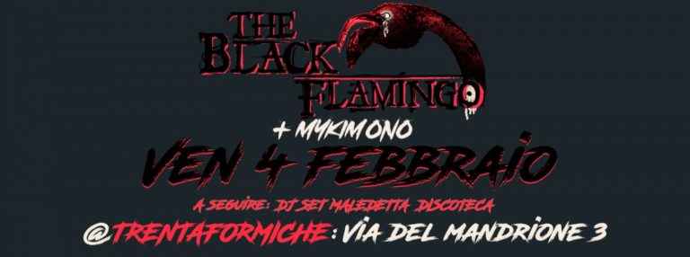 The Black Flamingo + Mykimono